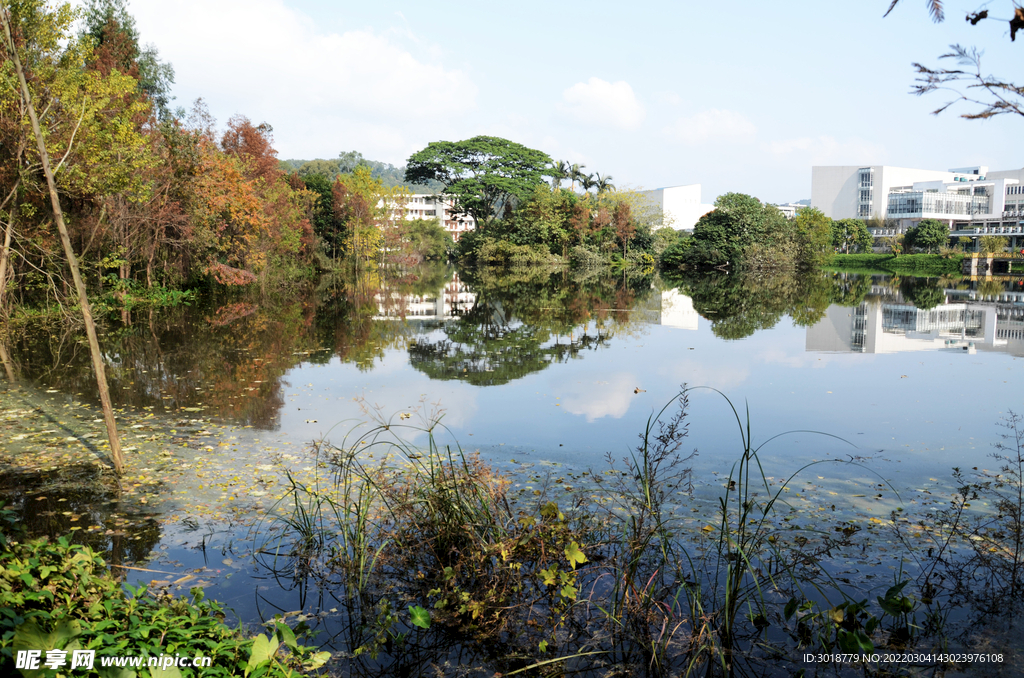 大学校园 
