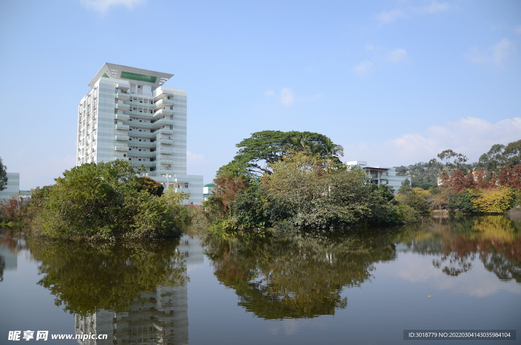 大学校园 
