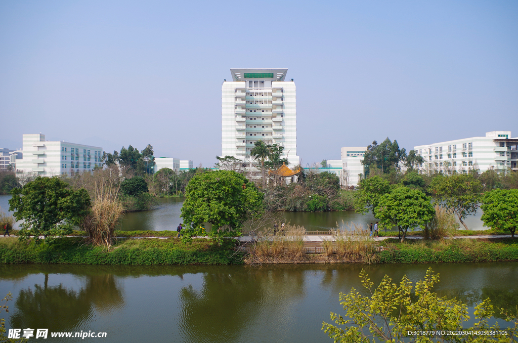 大学校园