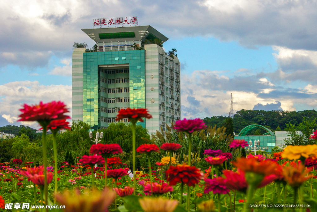 大学校园 