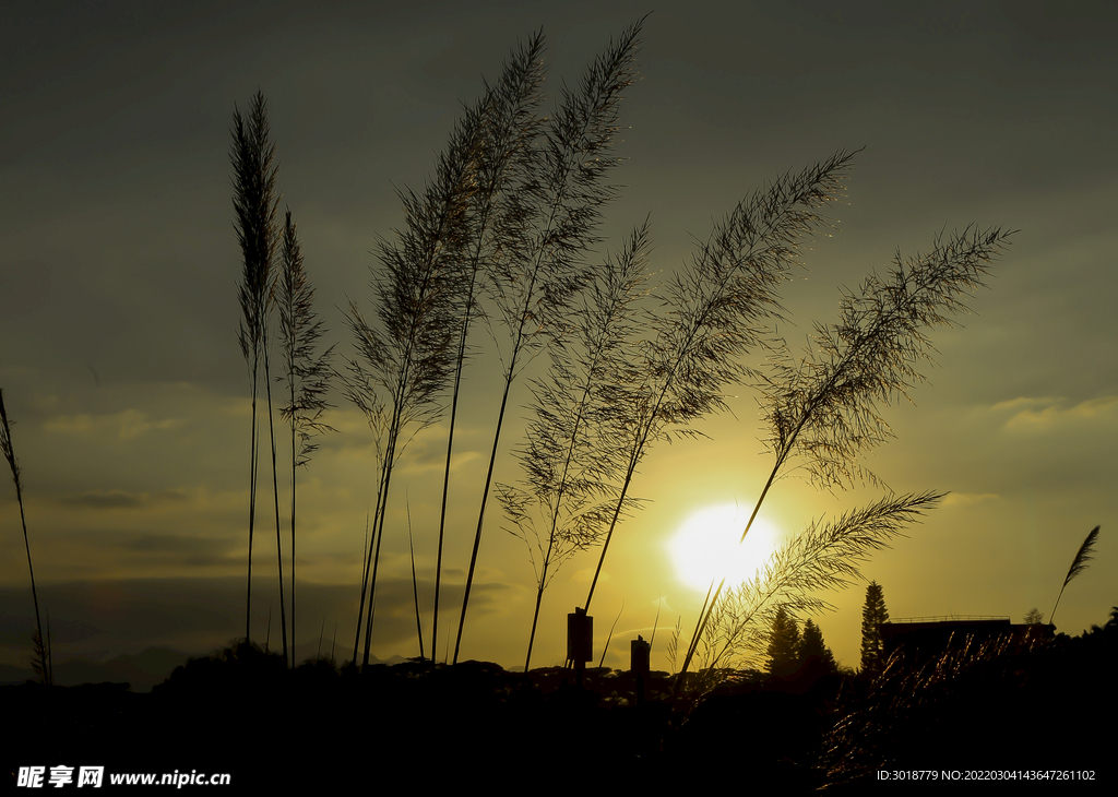 夕阳落日