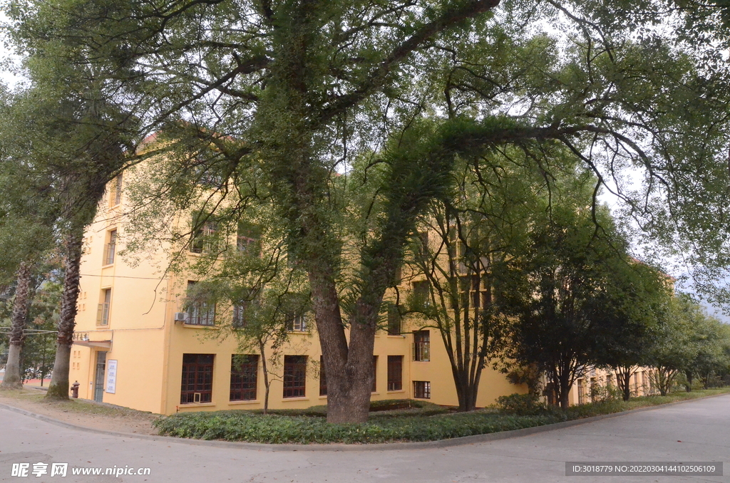 大学校园 