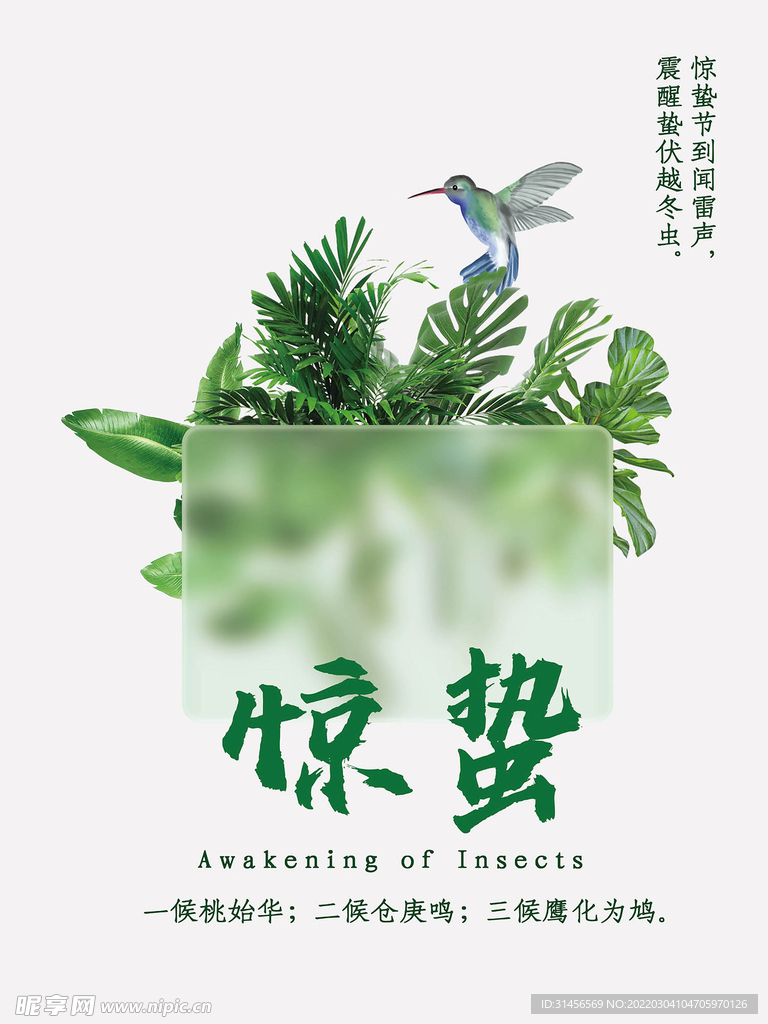 惊蛰