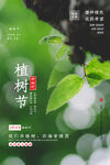 植树节
