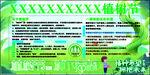 全民义务植树节