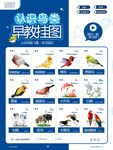 早教挂图