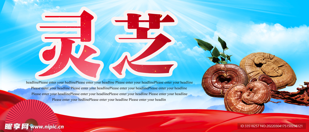 灵芝
