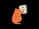 卡通猫  