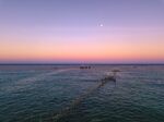 海洋