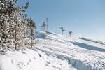 雪地
