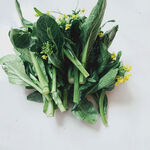 油菜花 绿色蔬菜