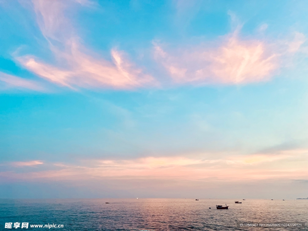 大海 