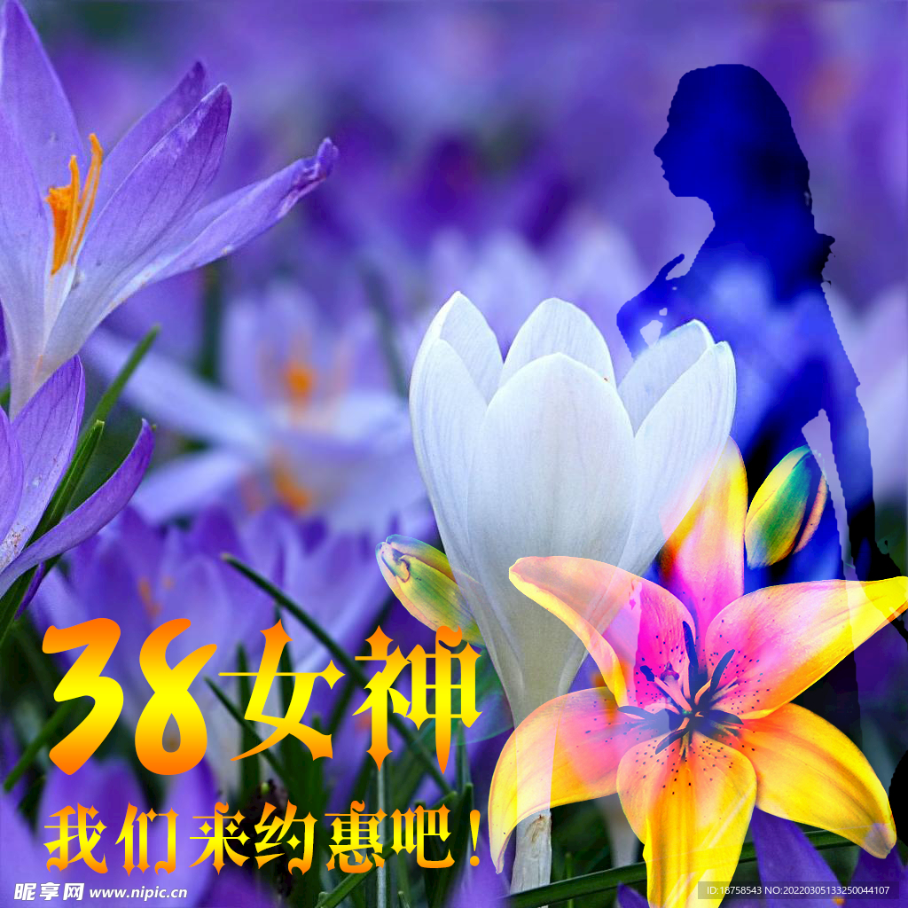 三八女神节