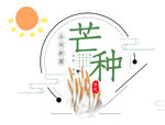 芒种