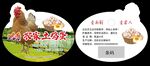 农家土鸡蛋