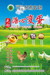 溏心变蛋
