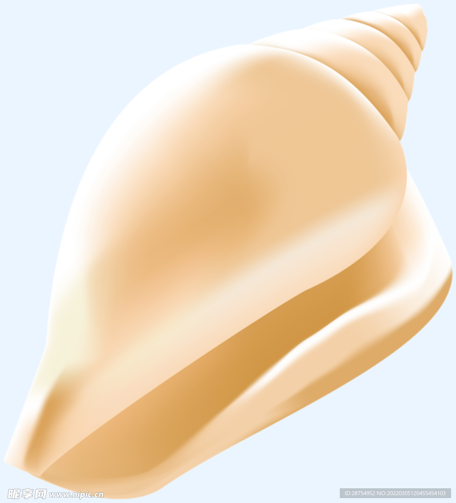 贝壳