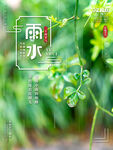 雨水海报