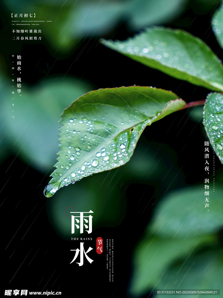 雨水海报