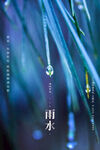 雨水海报