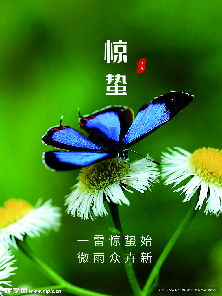 惊蛰