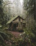 森林 小木屋