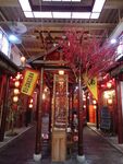 桃树