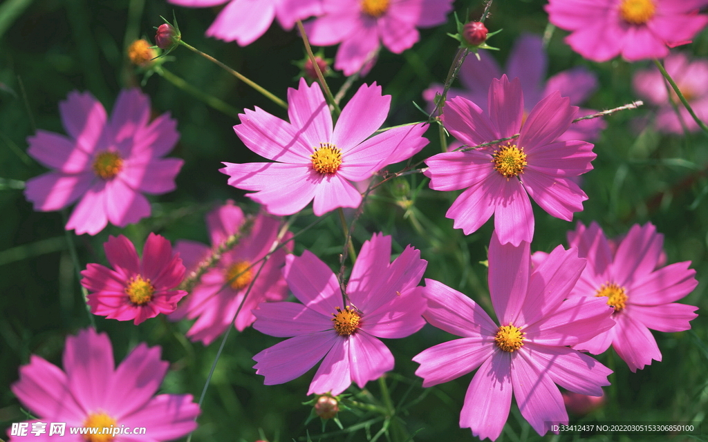 花