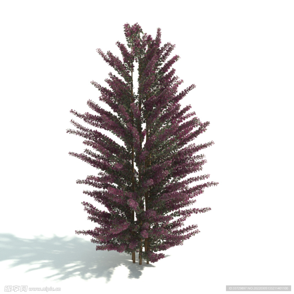 植物篱笆