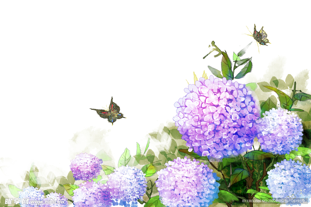 紫色水彩花卉