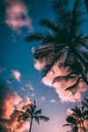 海边