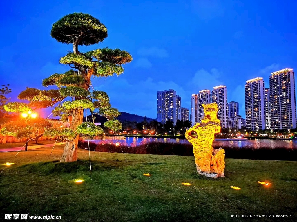香山湖公园夜景