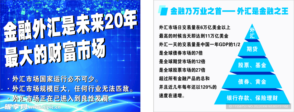 金融  外汇