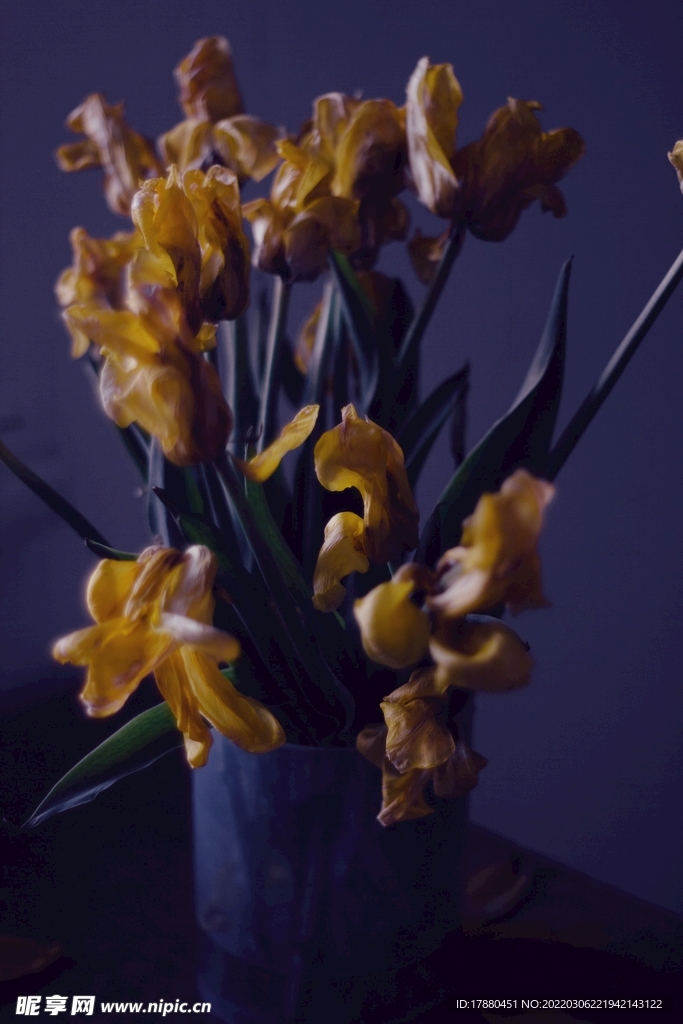 花卉