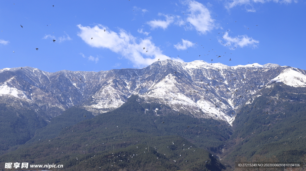 苍山雪