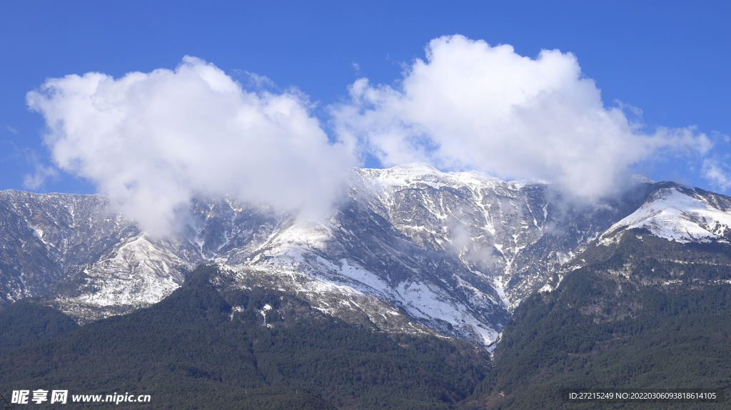 苍山雪