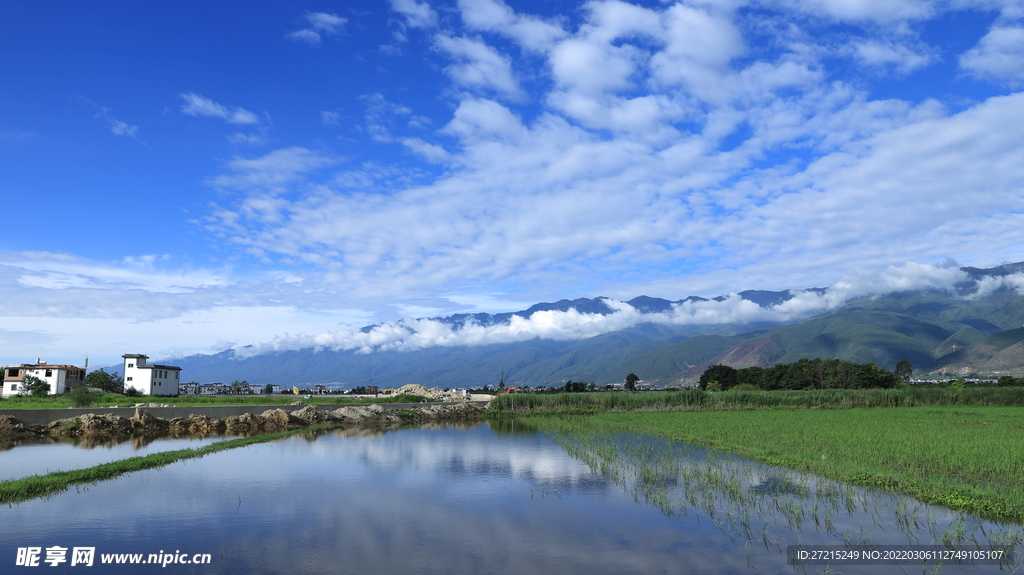 田园风光