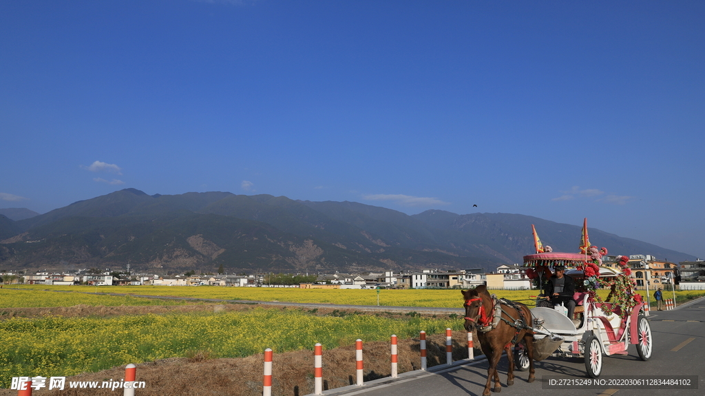 田园风光