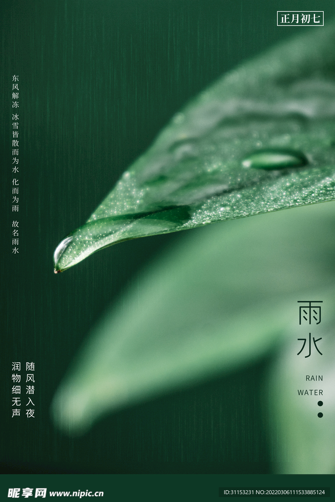 雨水海报