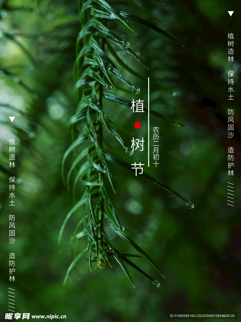 植树节