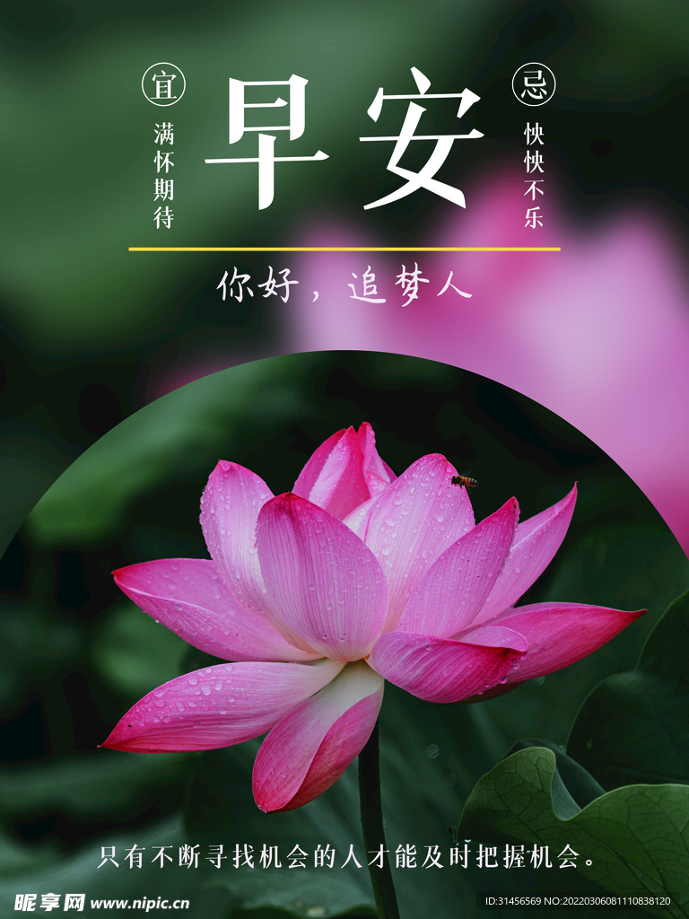 早安