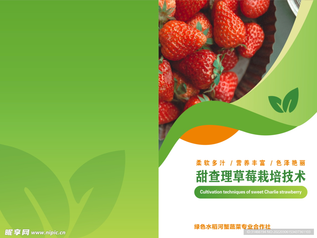栽培技术草莓画册