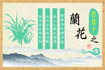 四君子  兰