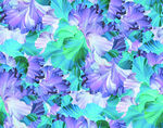 彩色绘花 