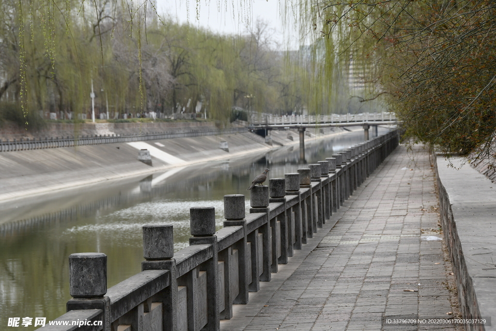 鸟与路