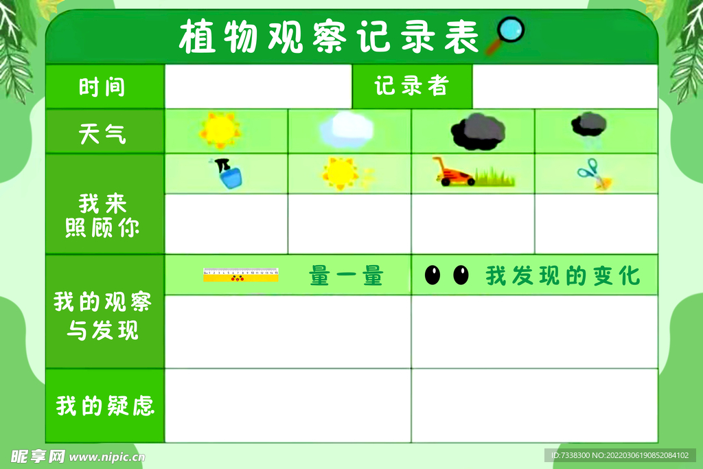 植物观察记录表