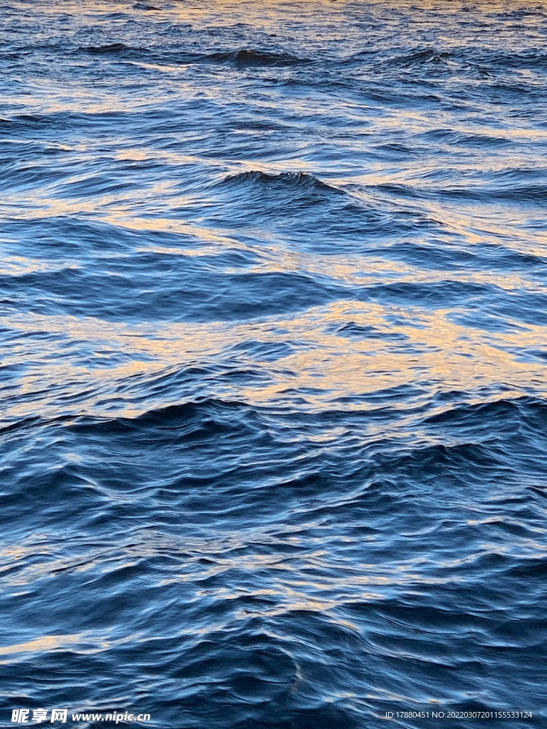 大海
