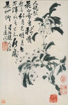 花鸟图 