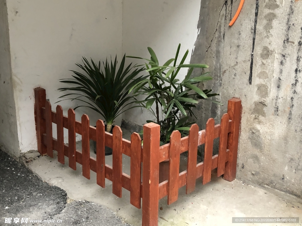 绿植绿叶植物 
