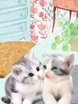 可爱小猫咪